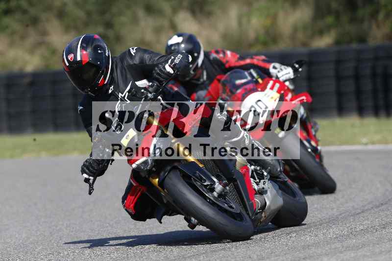 /46 11.08.2025 PADDYS-RACES-DAYS ADR/Sport-Profi/20
